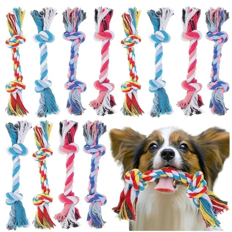 Cute Interactive Dog Squeaky Chew Toy with Cotton Ropes