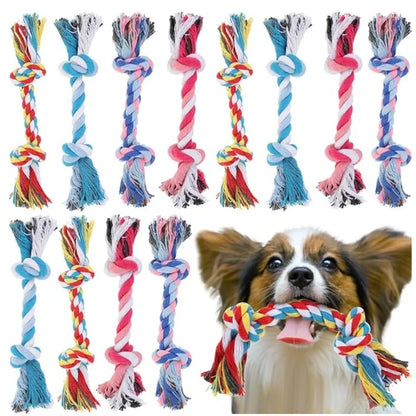 Cute Interactive Dog Squeaky Chew Toy with Cotton Ropes