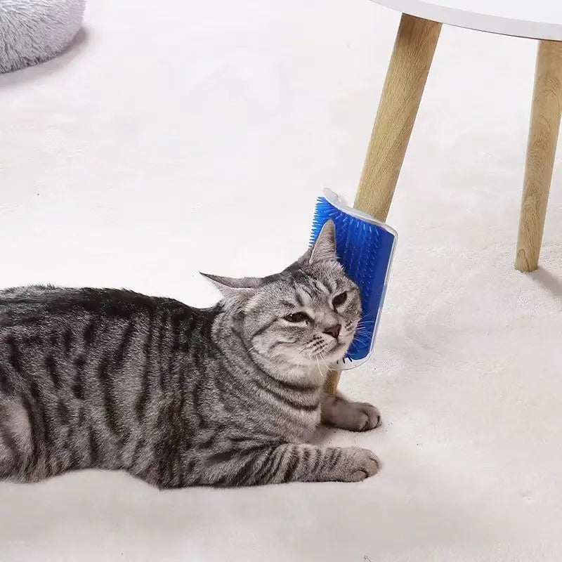 Self-Cleaning Cat Massage and Pet Hair Removal Brush