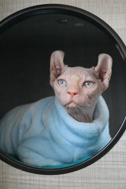 Sphynx Cat Sweater and Hoodie Outfit for Pets