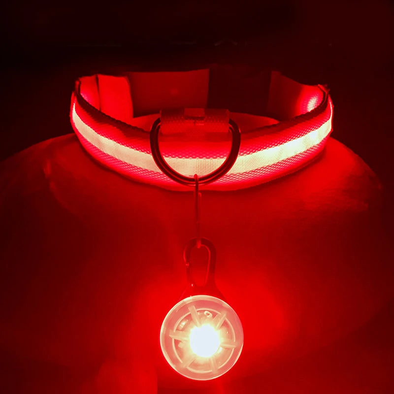 LED Light-Up Dog Collar for Night Safety - USB Rechargeable