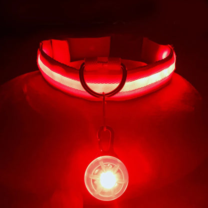 LED Light-Up Dog Collar for Night Safety - USB Rechargeable