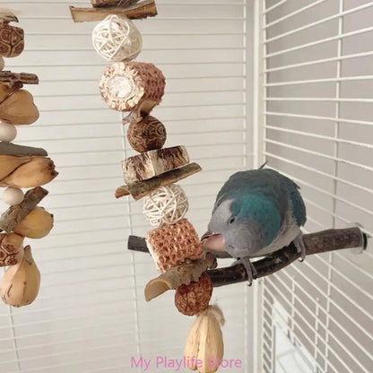 Colorful Parrot Beak Grinding Toy for Health and Fun