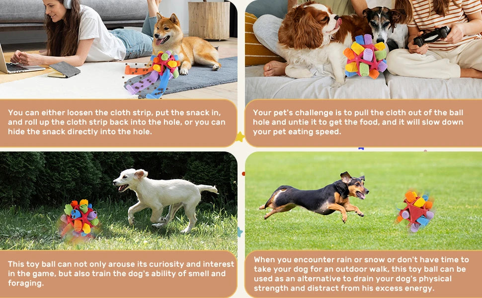 Sniffing Ball for Dogs - Chew and Training Toy