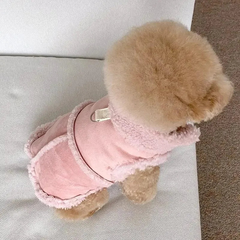 Chihuahua Sweatshirt Dress for Small Dogs and Pets