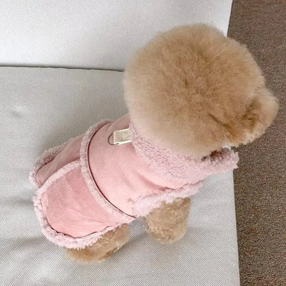 Chihuahua Sweatshirt Dress for Small Dogs and Pets