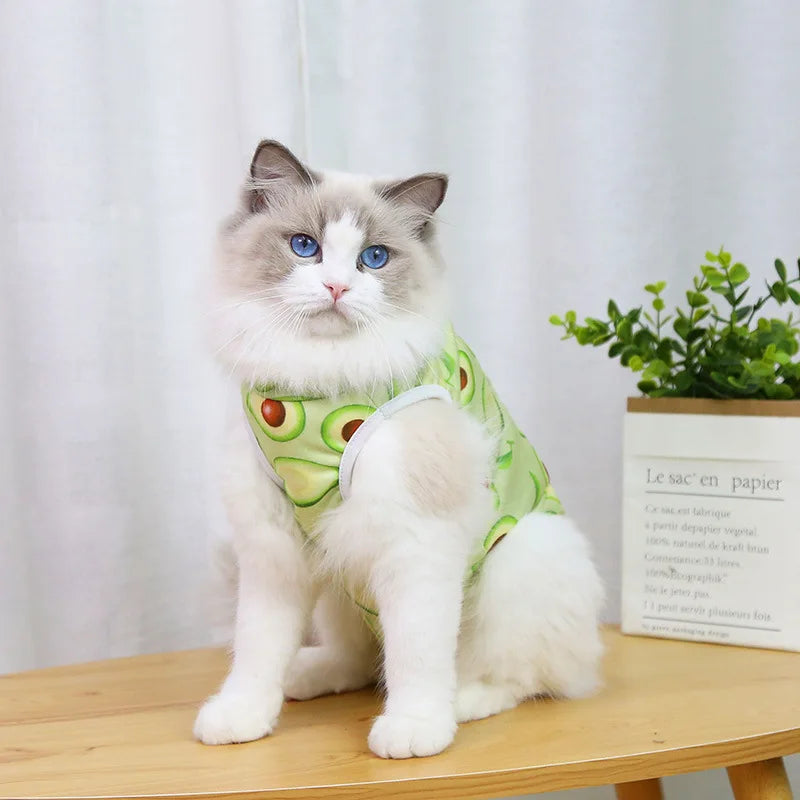 Pet Surgical Recovery Suit for Small Dogs and Cats