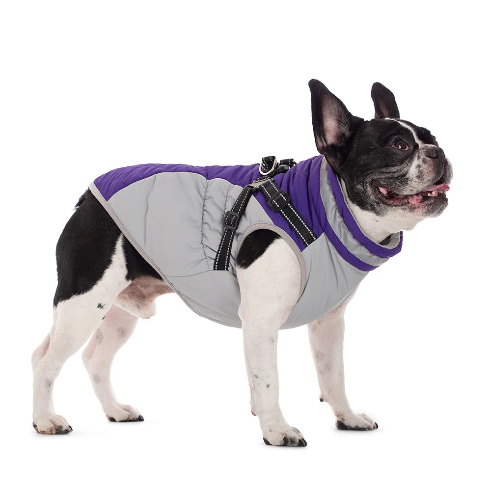 Waterproof Winter Dog Jacket with Harness for Small to Large Breeds