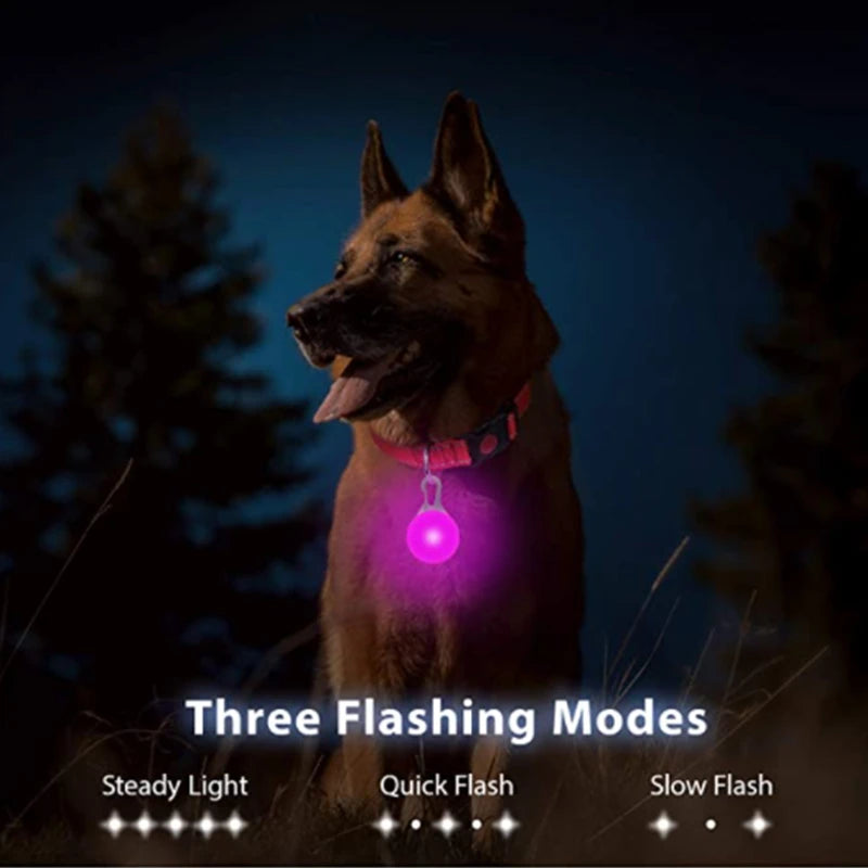 LED Light-Up Dog Collar for Night Safety - USB Rechargeable