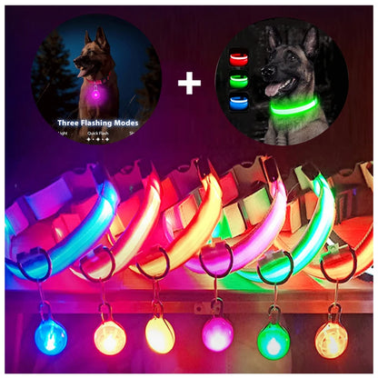 LED Light-Up Dog Collar for Night Safety - USB Rechargeable