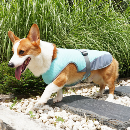 Adjustable Cooling Vest for Dogs - Lightweight & Reflective