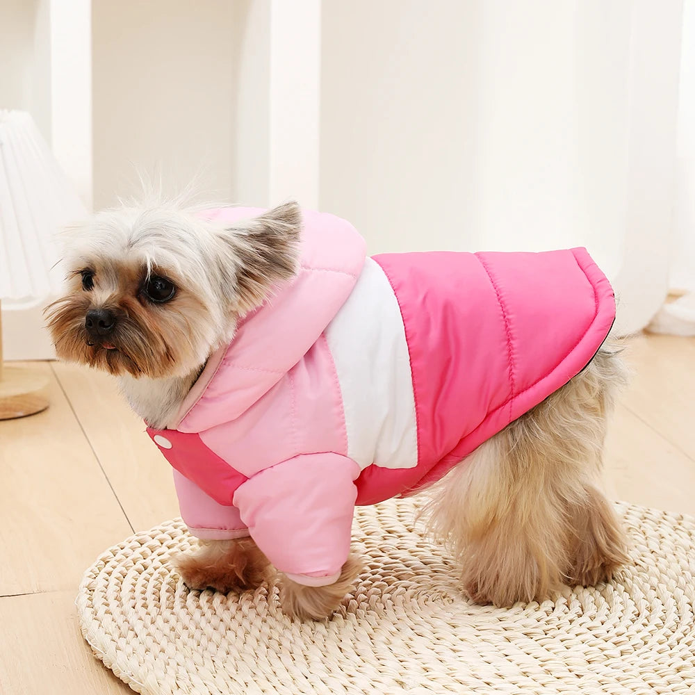 Waterproof Windproof Dog Hoodie for Small Dogs and Cats