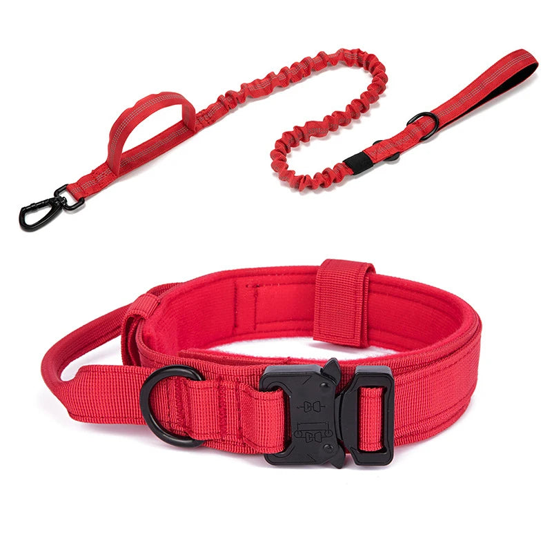 Durable Nylon Dog Collar and Reflective Leash Set