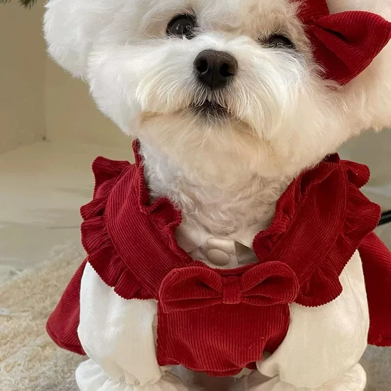Winter Warm Dog Dress Set with Bow Knot for Small Breeds
