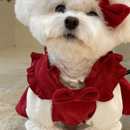 Winter Warm Dog Dress Set with Bow Knot for Small Breeds