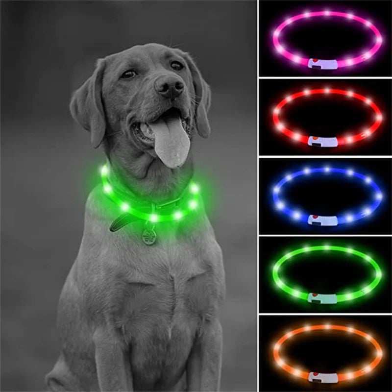 LED Glowing USB Rechargeable Pet Safety Collar for Dogs and Cats