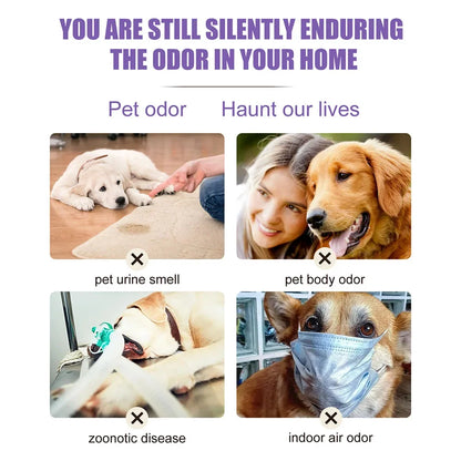 Lavender Oil Pet Deodorizer Spray for Dogs and Cats