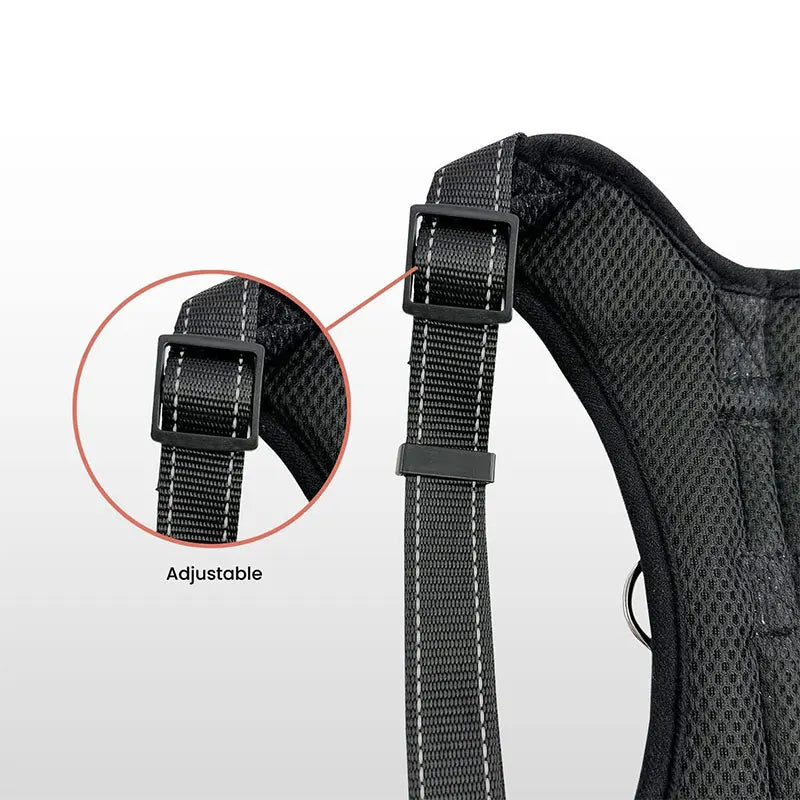 Adjustable Dog Harness and Leash Set for Small to Medium Dogs