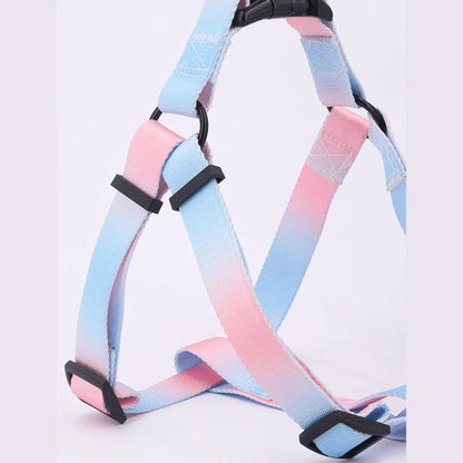 Colorful Pet Harness and Leash Set for Indoor and Outdoor Use
