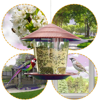 Transparent Window Bird Feeder for Nuts and Seeds
