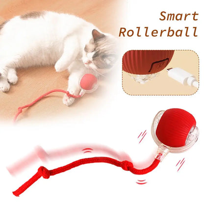 Rechargeable Interactive Cat Ball Toy with Faux Tail
