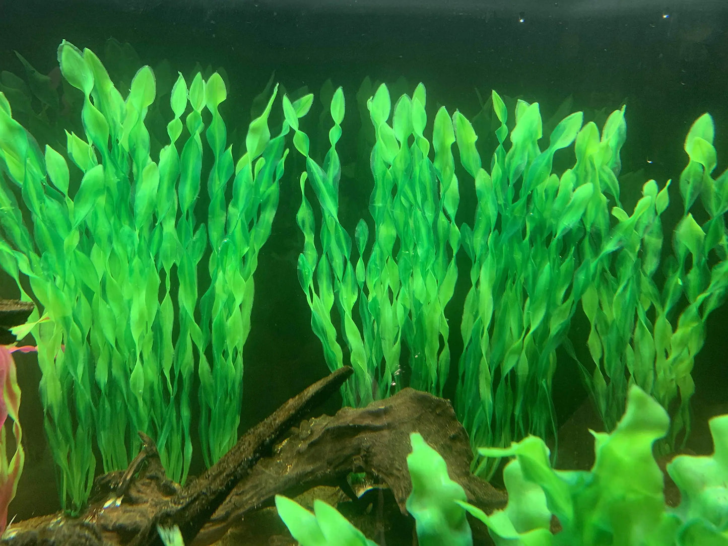 Artificial Aquarium Plants - 5/10pcs Decorative Seaweed Set