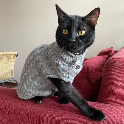 Knitted Sweaters for Small Dogs and Cats in Autumn/Winter