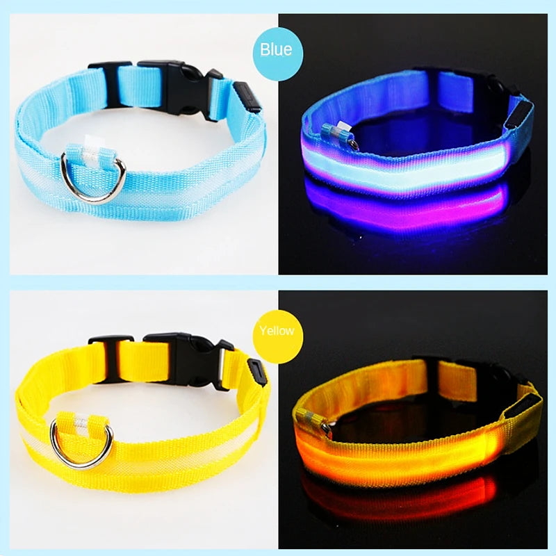 LED Glowing USB Rechargeable Pet Safety Collar for Dogs and Cats