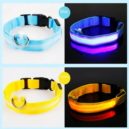LED Glowing USB Rechargeable Pet Safety Collar for Dogs and Cats