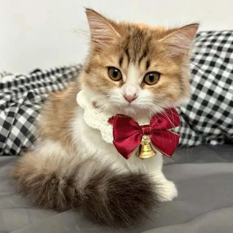 Festive Cat Scarf with Bell Necklace for Holiday Photoshoots