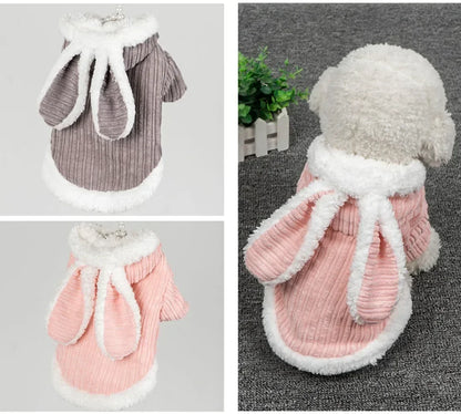 Pet Warm Clothes for Cats and Small Dogs - Autumn Winter Wear