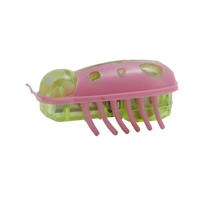 Interactive Ladybug Cat Toy - Mini Electric Pet Bug