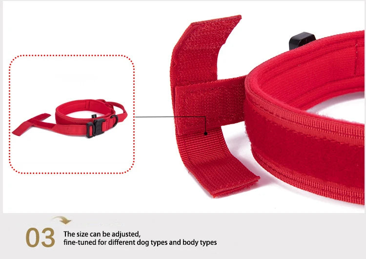 Durable Nylon Dog Collar and Reflective Leash Set