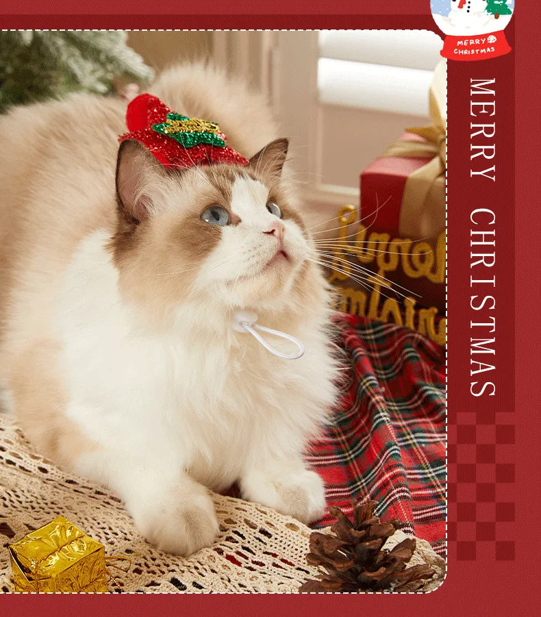 Christmas Hat and Scarf Set for Dogs and Cats
