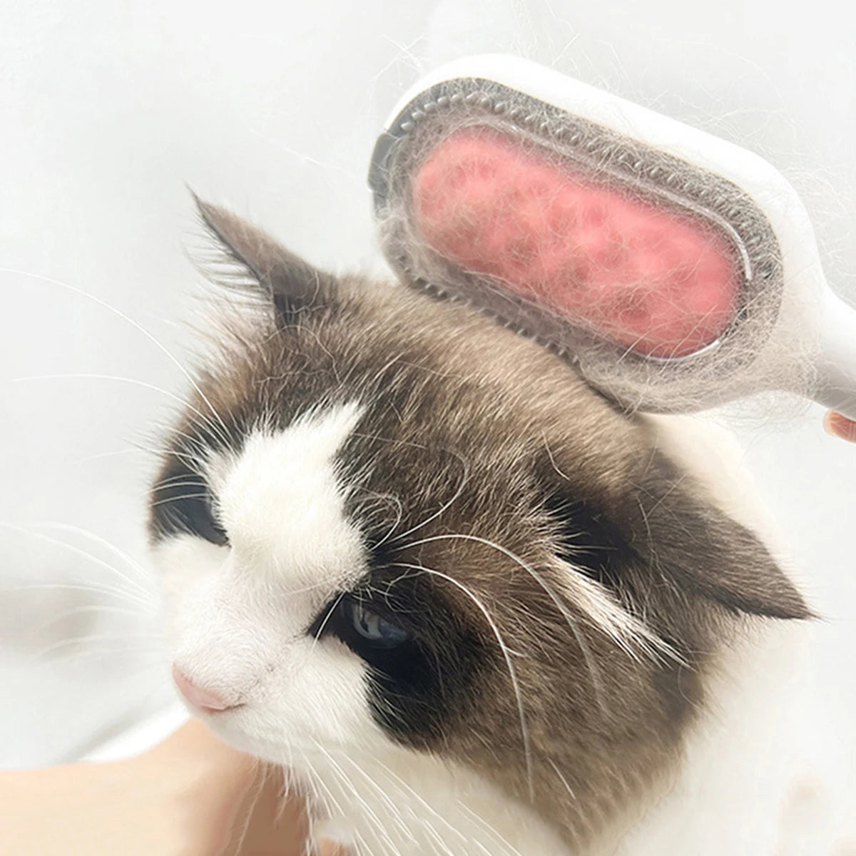 Cat and Dog Grooming Brush - Pet Hair Remover for Cats