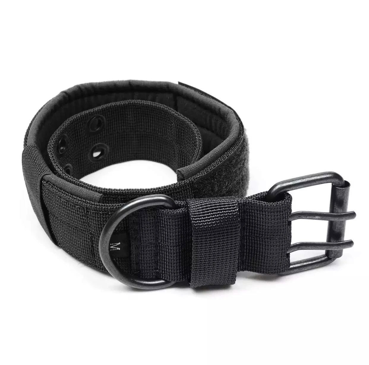 Reflective Heavy-Duty Nylon Dog Collar for Training