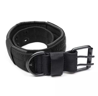 Reflective Heavy-Duty Nylon Dog Collar for Training