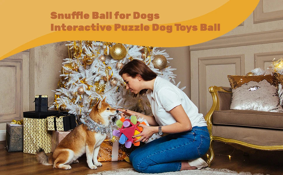 Sniffing Ball for Dogs - Chew and Training Toy