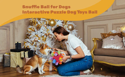 Sniffing Ball for Dogs - Chew and Training Toy
