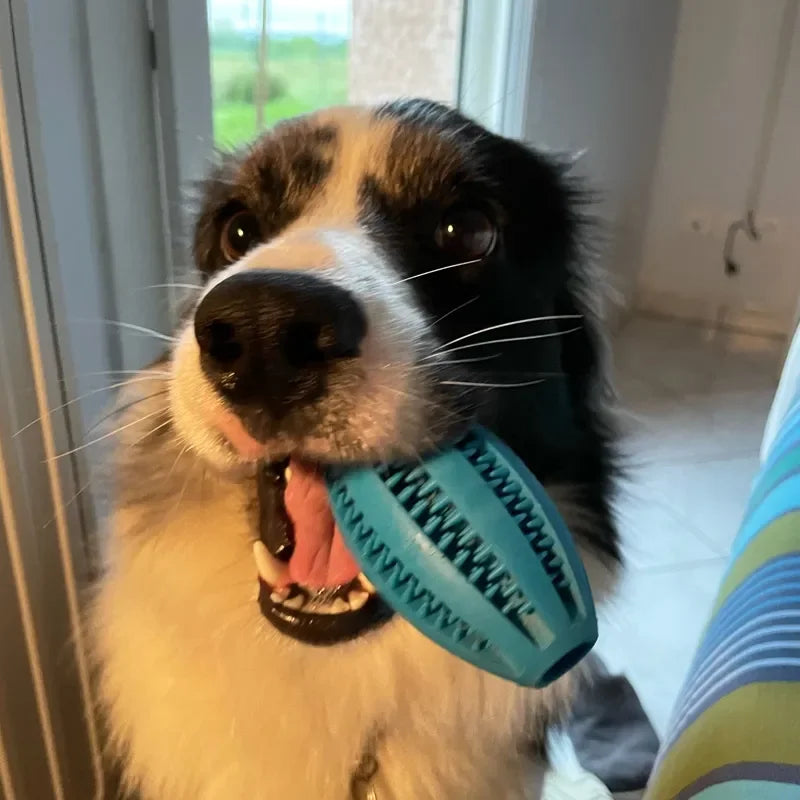 Natural Rubber Dog Chew Toy Ball for Teeth Cleaning