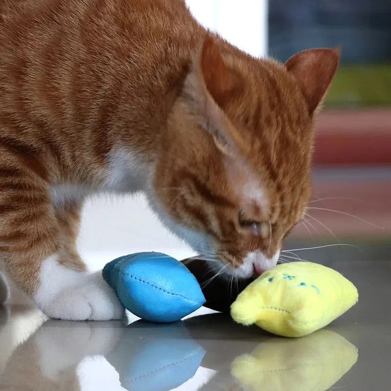 Plush Rattling Cat Toy - Multicolor Chew & Interactive Puzzle