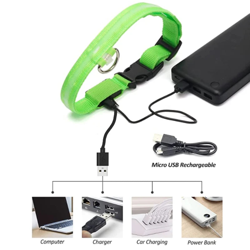 LED Glowing USB Rechargeable Pet Safety Collar for Dogs and Cats