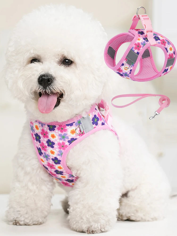 Printed 360° Fit Pet Harness with 1.5m Leash for Dogs & Cats
