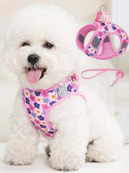 Printed 360° Fit Pet Harness with 1.5m Leash for Dogs & Cats