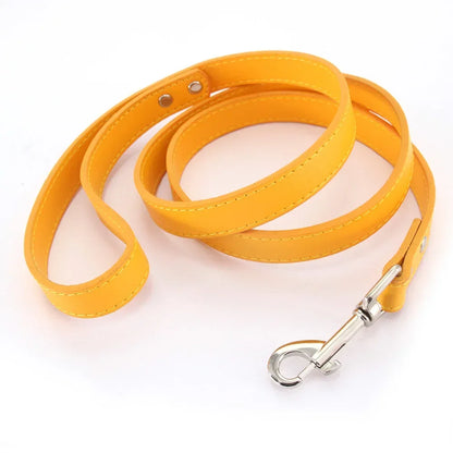 Colorful Leather Leashes for Small to Large Dogs and Cats