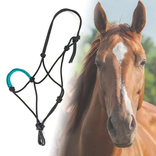 Horse Training Headstall with Leading Rope and Halter
