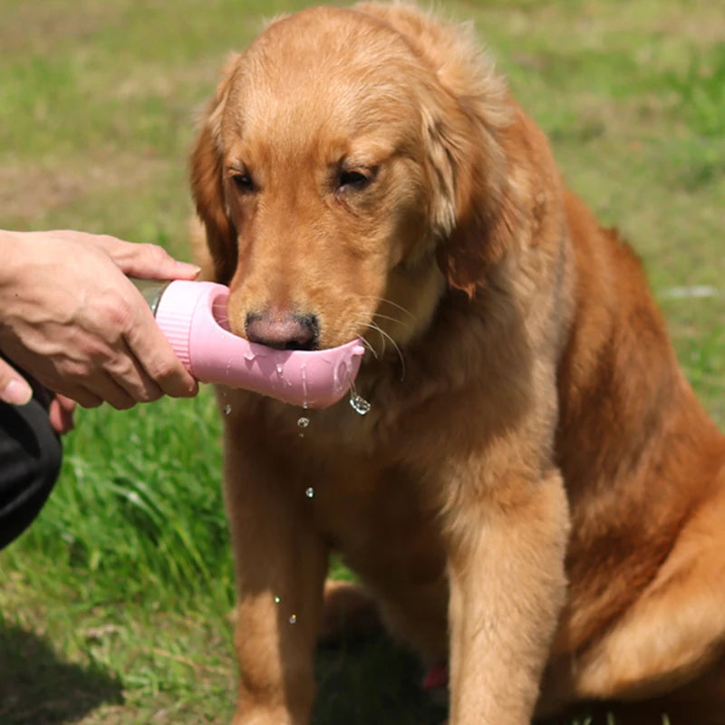 Portable Dog Water Bottle & Feeder for Outdoor Adventures