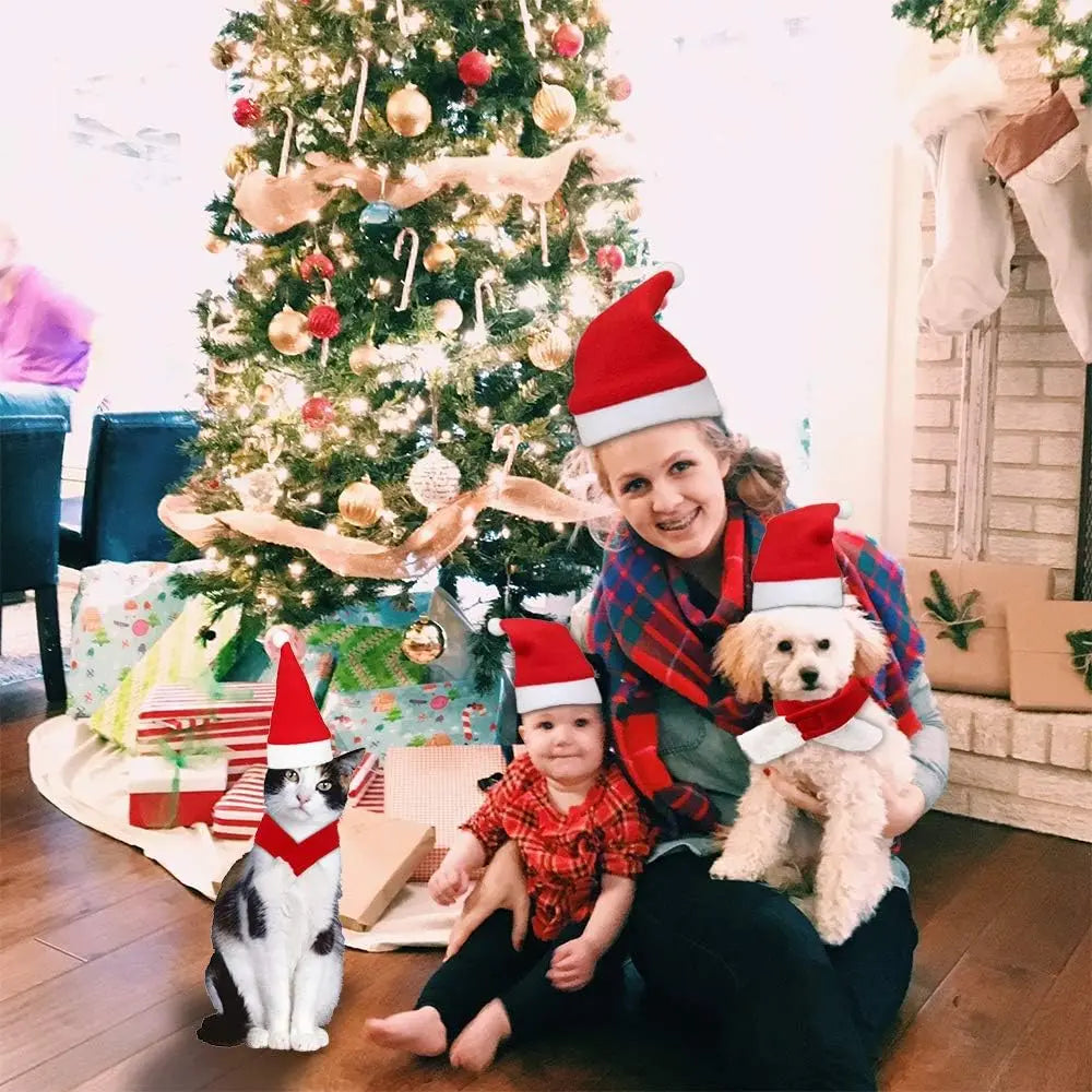 Pet Christmas Hat and Scarf Set for Cats and Small Dogs