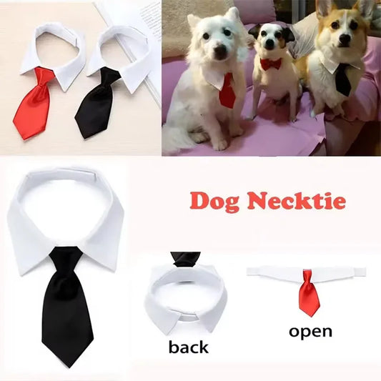 Formal Bow Tie Collar for Dogs and Cats - Wedding & Party Accessory