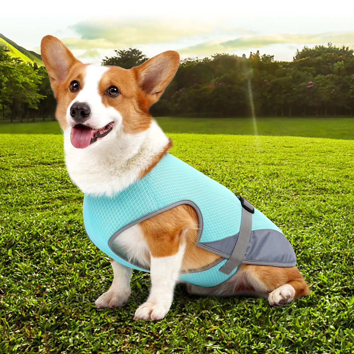 Adjustable Cooling Vest for Dogs - Lightweight & Reflective